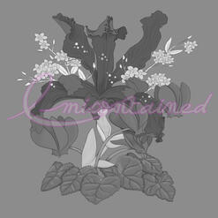 Floral Value exercise