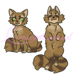 Hermit - Reference Sheet