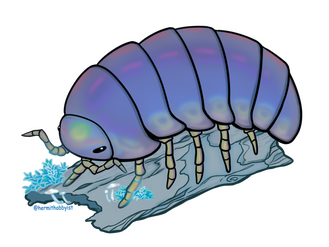 Isopod Sticker Design